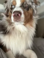 processed/ad0f2f10-d023-4813-bb9f-4228852ed467/facility/e1141fbd-b80e-4cde-aa99-a3e6f53808af