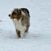 processed/ad0f2f10-d023-4813-bb9f-4228852ed467/facility/e5fb5b2b-7401-4d8a-a383-810d4b3dab8f