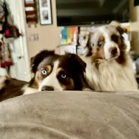 processed/ad0f2f10-d023-4813-bb9f-4228852ed467/facility/f8e0beb7-d420-44b1-9e67-924c6d7d7778