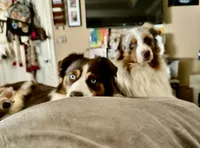 processed/ad0f2f10-d023-4813-bb9f-4228852ed467/facility/f8e0beb7-d420-44b1-9e67-924c6d7d7778