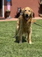 processed/ad1010d9-dd53-444c-ba80-77c3ca0e95a1/listing/aa1cceea-60d9-4e23-8a1f-884644cff224/3689a84c-e9f9-4f70-af57-d3ddb95ab625