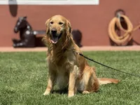 processed/ad1010d9-dd53-444c-ba80-77c3ca0e95a1/listing/aa1cceea-60d9-4e23-8a1f-884644cff224/902f4355-b2f7-428c-a3cd-8fa6d08b3b80