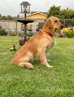 processed/ad1010d9-dd53-444c-ba80-77c3ca0e95a1/listing/aa1cceea-60d9-4e23-8a1f-884644cff224/f215cd23-70ca-4dbd-83ba-094a8dac793d