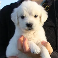 processed/ad119175-8449-4b41-8cd7-21159b0b1d44/facility/3d899733-42aa-4b68-a8dd-4d8c201c7d22