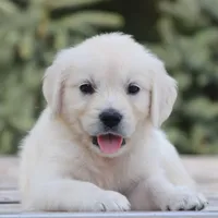 processed/ad119175-8449-4b41-8cd7-21159b0b1d44/facility/653b55a9-a4bd-4332-9e0a-3ee78fb901e8