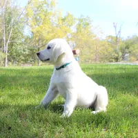 processed/ad119175-8449-4b41-8cd7-21159b0b1d44/facility/821b955d-4500-40f0-8391-9d4751d6e834