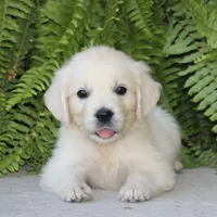 processed/ad119175-8449-4b41-8cd7-21159b0b1d44/facility/a340856e-ae8a-4651-906f-8cdadcab57eb