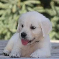 processed/ad119175-8449-4b41-8cd7-21159b0b1d44/facility/f3d7284d-a235-4d3e-a8b1-d38fcaa6112b