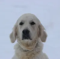 processed/ad119175-8449-4b41-8cd7-21159b0b1d44/listing/ab0f6c01-4e81-43e4-98ee-76c717df5a0d/915079db-7e18-4add-a1c5-1d0628a0f998