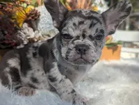 processed/ad13353f-d44a-4178-b849-f7d7dc49b06c/listing/105efd4e-7194-4da8-b9b0-9983116bcde2/2a5b8d89-89af-45d5-80c0-02d6edd62a92