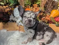 processed/ad13353f-d44a-4178-b849-f7d7dc49b06c/listing/105efd4e-7194-4da8-b9b0-9983116bcde2/3b2b5032-a144-40c4-956c-340e2d6da4bf