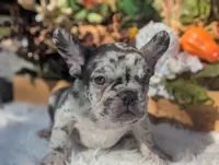 processed/ad13353f-d44a-4178-b849-f7d7dc49b06c/listing/105efd4e-7194-4da8-b9b0-9983116bcde2/3bc036ec-d5e7-467f-8cd8-cff34df42d25