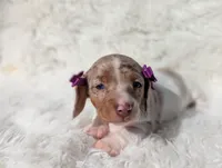 processed/ad13353f-d44a-4178-b849-f7d7dc49b06c/listing/6e074431-0974-4430-9cd1-3fef140a9248/6e576712-5cba-47c2-a35c-55c39d7fdcb5