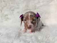 processed/ad13353f-d44a-4178-b849-f7d7dc49b06c/listing/6e074431-0974-4430-9cd1-3fef140a9248/e2b692e2-e353-48b9-a388-f070e46e8f30