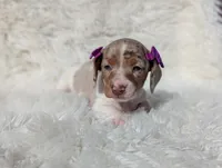 processed/ad13353f-d44a-4178-b849-f7d7dc49b06c/listing/6e074431-0974-4430-9cd1-3fef140a9248/f12b79b7-b143-47f3-8695-aad05a6698c7