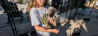 Tilly, a female Miniature Dachshund for sale in Moreno Valley, CA – 7 of 10