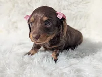 processed/ad13353f-d44a-4178-b849-f7d7dc49b06c/listing/9c5ae407-7566-4caf-b909-8090710cf22b/21b2a560-2e06-4be0-9096-25c2b891ffa0