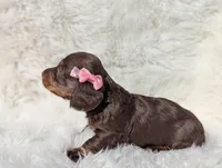 processed/ad13353f-d44a-4178-b849-f7d7dc49b06c/listing/9c5ae407-7566-4caf-b909-8090710cf22b/2631c978-2436-4c58-b907-ae084413c607