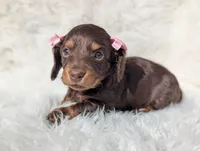 processed/ad13353f-d44a-4178-b849-f7d7dc49b06c/listing/9c5ae407-7566-4caf-b909-8090710cf22b/92bfe257-e0fb-403c-990a-9d40e46f0b12