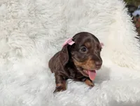 processed/ad13353f-d44a-4178-b849-f7d7dc49b06c/listing/9c5ae407-7566-4caf-b909-8090710cf22b/df6a19d9-4ece-4152-ae2d-b4840c251f21