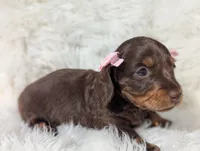 processed/ad13353f-d44a-4178-b849-f7d7dc49b06c/listing/9c5ae407-7566-4caf-b909-8090710cf22b/ffdafd51-75fa-44e3-b32e-a60ef9059ec0