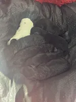 processed/ad16b6a3-29d6-4bbd-870b-6df8d5815b7f/facility/83cc5483-5e51-4cc9-a7ea-3078469e381b