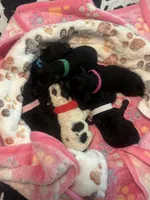 processed/ad16b6a3-29d6-4bbd-870b-6df8d5815b7f/facility/cb5e280a-9830-4bbc-ba79-d18d8f232c5b