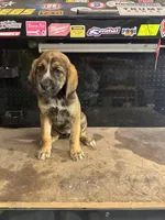 processed/ad22421f-49c4-4749-949e-25e4502e4e12/listing/25e5a3b4-9c46-412b-bf2d-bd142227a3b1/ad4dce9b-528e-4936-94e3-13d836b1287d