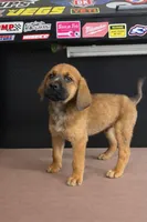 processed/ad22421f-49c4-4749-949e-25e4502e4e12/listing/285ab2ea-5c5c-44ad-8f25-8d5ed6d7c33b/be6e374d-e757-498f-9c35-e4abd7fd7cd8