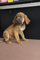 processed/ad22421f-49c4-4749-949e-25e4502e4e12/listing/5884495d-3b5f-4127-9b1f-5a464677eba5/5f5ed04b-38ce-406e-938d-b4fb5c182306