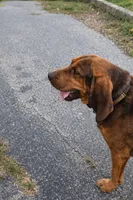 processed/ad22421f-49c4-4749-949e-25e4502e4e12/listing/f693db48-bbdb-4faf-bc3a-c489d28c9e94/08e740ae-e037-4ee0-a6f1-645641b3a6ee