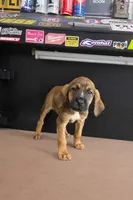 processed/ad22421f-49c4-4749-949e-25e4502e4e12/listing/f76ff0c1-dd62-4306-bb02-72a8e34f6227/c8f673f9-4b1c-4f2d-b20a-e477351a8466