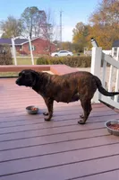 processed/ad22421f-49c4-4749-949e-25e4502e4e12/listing/f76ff0c1-dd62-4306-bb02-72a8e34f6227/d222f254-f7e3-404c-b2ab-d18b3a7a7b02