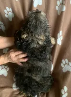 processed/ad226c7f-2fd2-4b1b-bf4c-a18a0ed27d43/listing/273b7bae-6343-40c4-9951-3c62896f40ad/1c6fbd5f-0594-4258-aa63-b154eb882b0b