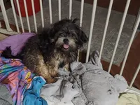 processed/ad226c7f-2fd2-4b1b-bf4c-a18a0ed27d43/listing/273b7bae-6343-40c4-9951-3c62896f40ad/9aed9b87-fc24-4aac-bab0-71ffe4272508