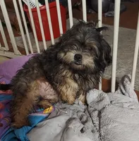 processed/ad226c7f-2fd2-4b1b-bf4c-a18a0ed27d43/listing/273b7bae-6343-40c4-9951-3c62896f40ad/f94db8a3-d623-4858-a350-092fc16c980c