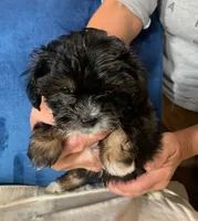 processed/ad226c7f-2fd2-4b1b-bf4c-a18a0ed27d43/listing/c1bf0158-ab17-4097-b35d-fc1afc849667/5608dbe9-27a4-4b66-8275-05e9b4fc77bd