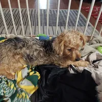 processed/ad226c7f-2fd2-4b1b-bf4c-a18a0ed27d43/listing/f85c5ed6-4395-4b9c-8142-386c80339940/59bf6105-84b5-4f14-abfc-51ab6a793b83