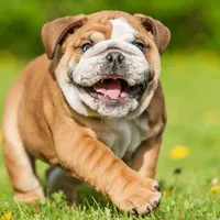 processed/ad256ce8-db01-44d9-8561-eb8c867d5924/facility/3c3a3637-a7e1-4b81-95fd-5e255cccda97