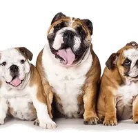 processed/ad256ce8-db01-44d9-8561-eb8c867d5924/facility/5e77d001-b531-4f19-9651-4702dbbd3d33