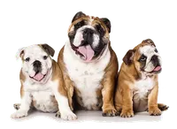 processed/ad256ce8-db01-44d9-8561-eb8c867d5924/facility/5e77d001-b531-4f19-9651-4702dbbd3d33