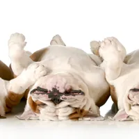 processed/ad256ce8-db01-44d9-8561-eb8c867d5924/facility/ed90aaf1-e46c-40fc-9136-8d55462482a9