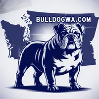 male 2, a male English Bulldog for sale in Kirkland, WA – Photo 2 of 2