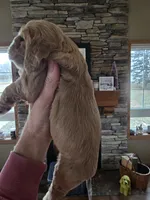 processed/ad259b79-eb9a-4895-b0e4-a6e8a58c55ea/listing/4d58db26-4546-4e91-9d38-419ae35c5416/890a1e41-6c59-4d88-8d49-8158982c2f1c