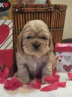 processed/ad259b79-eb9a-4895-b0e4-a6e8a58c55ea/listing/4d58db26-4546-4e91-9d38-419ae35c5416/a0cab01f-56d4-4751-bd9b-97e7a39d5f0b