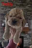 processed/ad259b79-eb9a-4895-b0e4-a6e8a58c55ea/listing/4d58db26-4546-4e91-9d38-419ae35c5416/c6807c2e-bdc7-41a1-91ad-929646d26f38