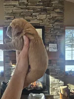 processed/ad259b79-eb9a-4895-b0e4-a6e8a58c55ea/listing/89c8832a-fe1f-42d5-ab44-50063f0b5df6/e42a5d09-d6b2-40eb-9f0c-3a84ea602baf