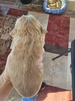 processed/ad259b79-eb9a-4895-b0e4-a6e8a58c55ea/listing/c50feffe-7e61-476e-ab6f-0fc4ba309656/3c9e9b9c-f04f-4c8e-ae36-211465e7c2cf