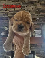 processed/ad259b79-eb9a-4895-b0e4-a6e8a58c55ea/listing/c50feffe-7e61-476e-ab6f-0fc4ba309656/9855809b-aba3-4cd5-af11-e2331011327b