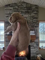 processed/ad259b79-eb9a-4895-b0e4-a6e8a58c55ea/listing/da2cab9c-cbfb-4389-b5c9-46b140668e8d/9c986248-e162-434f-acdc-29fc83630945